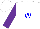Silk - White with blue 'w' on front, wolf on back, purple slvs with white and blue on arms
