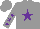 Silk - Grey, purple star, purple stars on grey sleeves, purple and grey cap