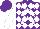 Silk - Purple, white stars, purple letters on white diamonds, white sleeves