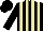Silk - Black and beige stripes, black cap