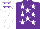 Silk - Purple, white stars, white sleeves, white cap, purple stars