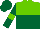 Silk - light green and dark green halved horizontally, light green armlets on dark green sleeves, dark green cap