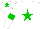 Silk - White, green star, white sleeves, green armlets, white cap, green star