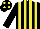 Silk - Black and yellow stripes, black cap, yellow spots