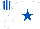 Silk - White, royal blue star, white cap, royal blue stripes