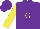 Silk - Purple,yellow sleeves with a horse and a yellow ''g'' on the back