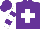Silk - Purple, white cross, purple bars on white sleeves, purple cap