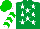 Silk - Emerald green, white stars, white sleeves, green chevrons, green cap