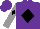 Silk - Purple, black diamond, black diamond on grey sleeves