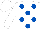 Silk - White, royal blue spots, white sleeves and white cap