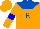 Silk - Burnt orange, royal blue yoke and 'r,' blue hoop on sleeves, orange cap