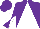 Silk - Purple and white triangular thirds, purple and white diagonal quarters on slvs