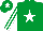 Silk - Emerald green, white star, striped sleeves, white star on cap