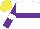 Silk - White, purple hoop, purple sleeves, white hoop, yellow cap