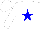 Silk - White, blue 't/e' in blue star