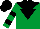 Silk - EMERALD GREEN, black yoke, BLACK inverted triangle, hooped sleeves, BLACK cap