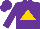 Silk - Purple, gold triangle
