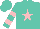 Silk - Turquoise, pink star, pink  bars on sleeves, turquoise cap