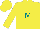 Silk - Florescent yellow, teal 'm'