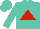 Silk - Turquoise, red triangle, turquoise cap