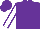 Silk - Purple, white sleeves with purple trim, horse logo on back