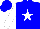 Silk - Blue, white star, blue circled frame on white sleeves