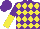 Silk - Purple, yellow diamonds, purple and yellow halved sleeves