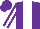 Silk - Purple, white stripe, white stripe on purple sleeves, purple cap