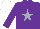 Silk - Purple, silver star, white cap