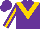 Silk - Purple, gold 'v' front and back,gold stripe on sleeves