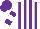 Silk - White, purple stripes, purple bars on sleeves, purple cap