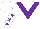 Silk - White, purple V, purple stars on sleeves
