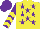 Silk - Yellow, purple stars, purple, yellow chevrons sleeves, purple, yellow star cap