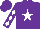 Silk - Purple, white star on front and back, purple and white diamonds on sleeves, purple cap