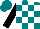 Silk - Teal and white checked, black sleeves