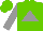 Silk - Light green, grey triangle, grey arms, light green cap