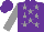 Silk - Purple, grey stars and sleeves, purple cap