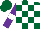 Silk - Forest green and white blocks, white hoop on purple sleeves