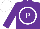 Silk - Purple, white circled 'p', white cap