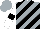 Silk - Silver, white, and black diagonal striped, black band on white sleeves