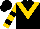 Silk - Black, with gold 'v', gold sleeves with black bars