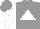 Silk - Grey, white triangle, white sleeves, grey cap