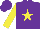 Silk - Purple, yellow star, yellow sleeves with purple cuff and yellow star