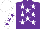 Silk - Purple, white stars, white, purple stars sleeves, white cap