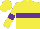 Silk - Yellow, purple hoop, purple armlets on sleeves
