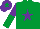 Silk - Emerald green, purple star, purple and emerald green halved sleeves, purple cap, emerald green star