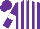 Silk - Purple, white panels, white band on sleeves, purple cap