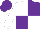 Silk - White and purple quartered, white sleeves, purple cap