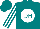Silk - Teal, teal 'dh' on white ball, teal stripes on white sleeves
