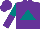 Silk - Purple, teal triangle, teal and purple halved sleeves, purple cap